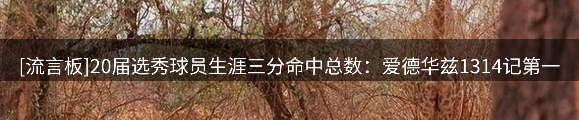 内页banner
